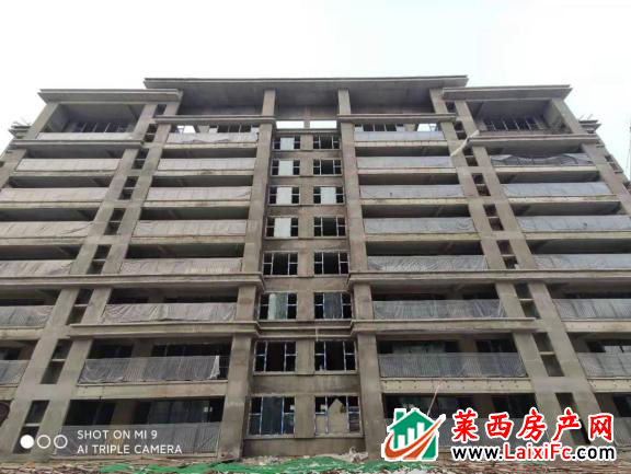 天泰家书 | 天泰·公园壹号1月 天泰家书 | 天泰·公园壹号1月